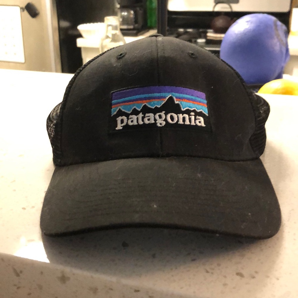 Patagonia Trucker Hat Black